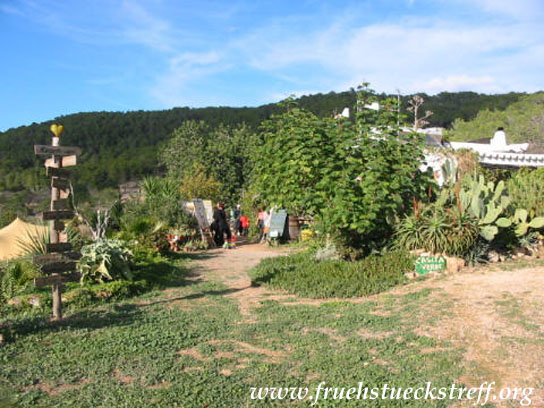 Frühstückstreff am 1. Sonntag im Monat in La Casita Verde auf Ibiza
